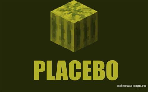 Image result for Placebo Mod Minecraft
