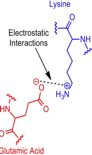 Image result for PyMOL Electrostatic Potential