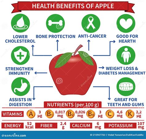 Health Benefits of Apple Infographic Vector Illustration. Health Care, Medical Concept for ...