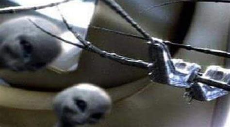 Image result for Alien Abdicktion