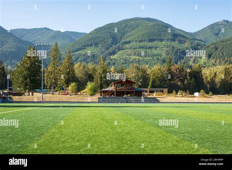 Natural Grass Field 的图像结果