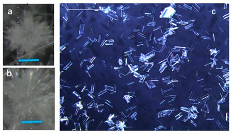 Gypsum Precipitation under Saline Conditions: Thermodynamics, Kinetics ...