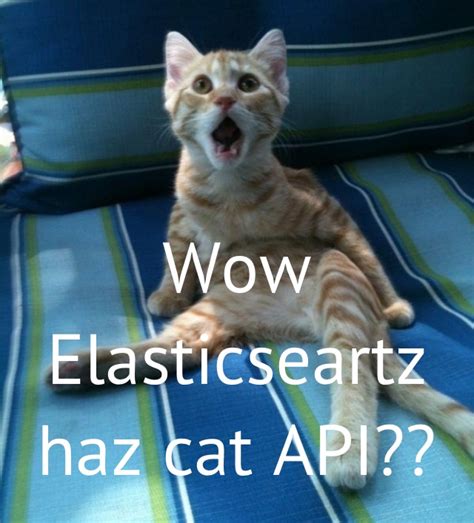 How to Make a Search Engine in Cat Web 的图像结果