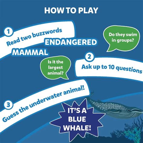 Skillmatics Guess in 10 Underwater Animals – ibaby