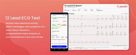 Sunfox Spandan 4.0 | Pack of 2 Device | Portable ECG Machine | Heart ...