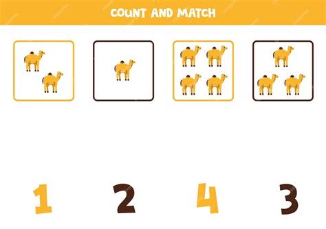 Premium Vector | Count all camels and match with the correct number