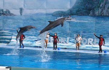 Amazing 11 Days 10 Nights Singapore Tour Package | Singapore, Pattaya ...