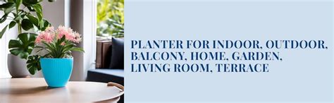 Aura 6.5 Inch Round Virgin Plastic Flower Pot Planter for Indoor ...