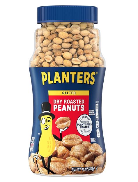 Planters Dry Roasted Peanuts Jar, 453 g : Amazon.in: Grocery & Gourmet ...