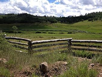 Sacred Homestead: Though hast made thy children mighty by the touch of ...