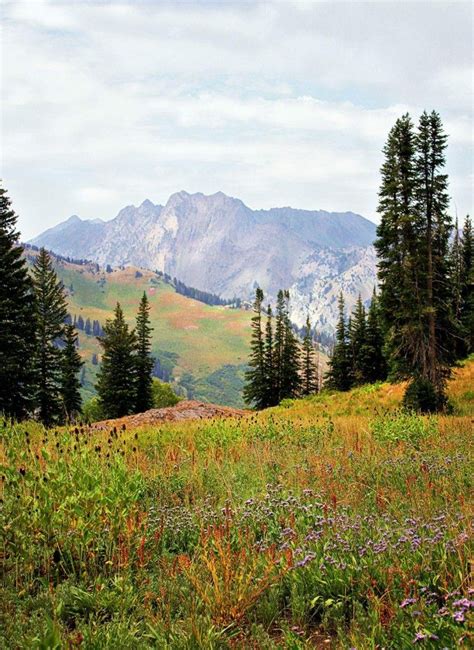 Belle Nature 的图像结果