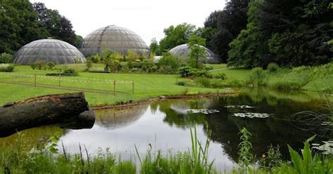 Zurich Zr13 Computer Setup 的图像结果