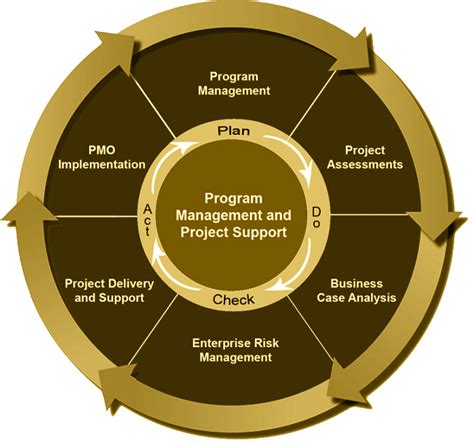 Program Strategy 的图像结果