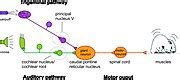 Image result for How to Color a Map in Minecraft Java