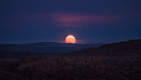 Phoenix Luna Now Host