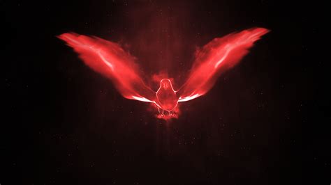 Image result for Bird Logo Intro Vedio Tutorial