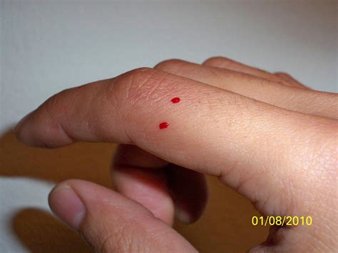 Ball Python Bite Me 的图像结果