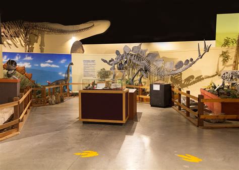 Discovering Dinosaurs in Colorado - Uncover Colorado