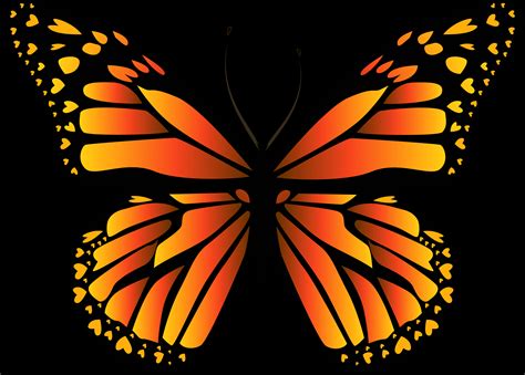 Download A Butterfly With Black And Orange Wings [100% Free] - FastPNG