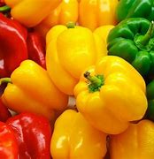 peppers 的图像结果