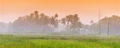 Join the Organic Movement – B77 Sustainable Fashion