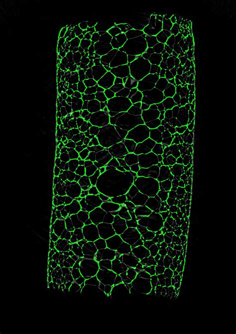 Image result for Python Computer Vision Detect Circels