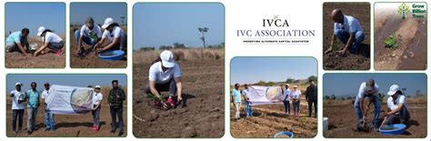 Reforesting with Purpose: IVCA’s Agroforestry Tree Plantation Program ...