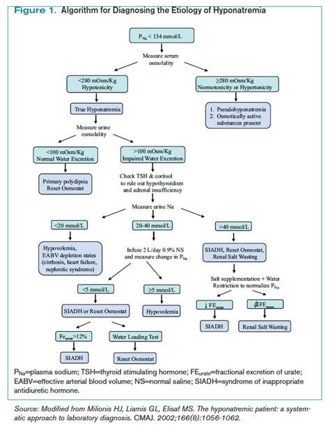 Hyponatremia Algorithm 的图像结果