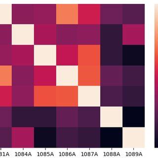 Rezultat imagine pentru Correlation Test