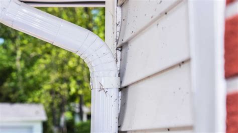 Estimating your gutter repair cost 2022 | Hands on Gutters