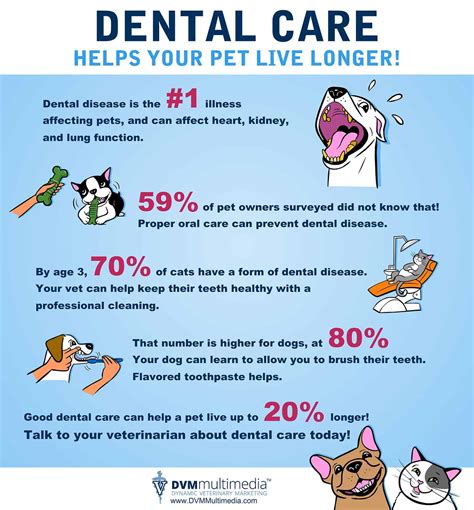 Dental Care for Dogs: Tips and Tricks