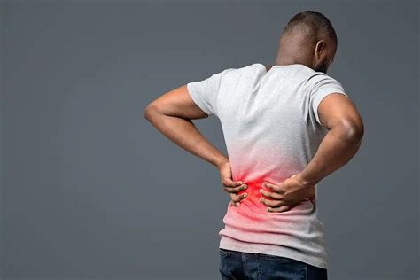 Image result for Lower Back Muscle Pain