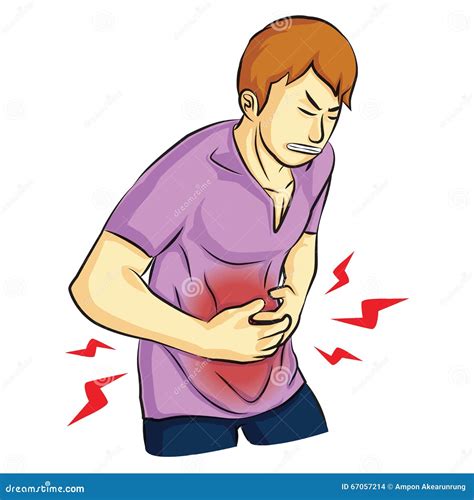 Stomach Pain, Stomach Ache, Body Anatomy Royalty-Free Stock Image | CartoonDealer.com #36337222