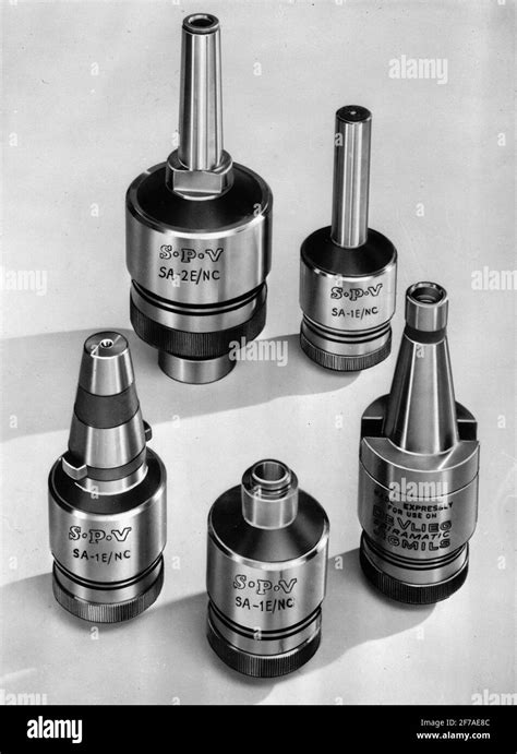 Image result for Reproduction Stock Images