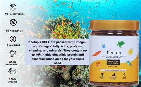KEETUP Dried Black Soldier Fly Larvae Treat Fish Food (100 Gram) For ...