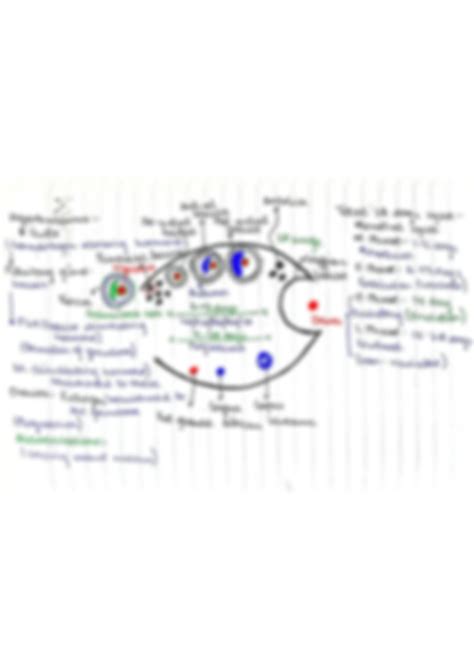 Image result for Female Reproductive System Class 12