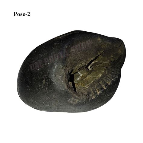 Buy Natural Krishna Original Shaligram Stone Shila