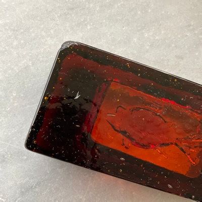 Amber Module Review 的图像结果