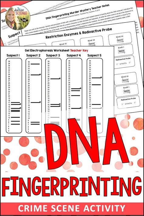 Image result for DNA Fingerprinting Worksheet Back Answer Key