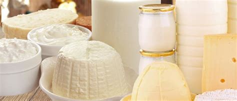 Молочные продукты - список, название, описание, классификация