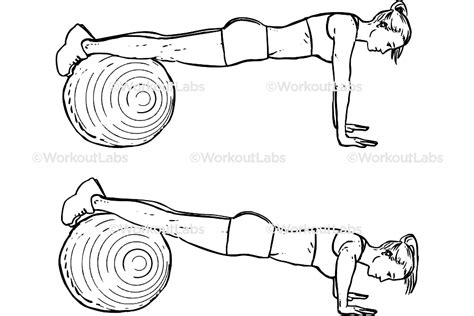 Image result for Push UPS Using Exercise Ball