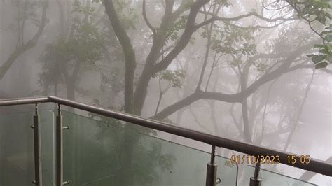 KEMMANNUGUNDI HILL RESORT-JUNGLE LODGES (Tarikere) - B&B Reviews ...