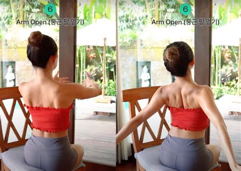 Mizi Back Exercises 的图像结果