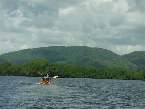 ISLAND KAYAKING ADVENTURE (2026) All You Need to Know BEFORE You Go ...