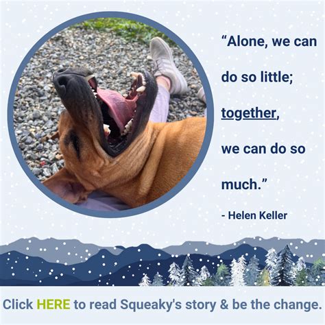 Watauga Humane Society