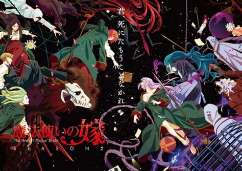 Image result for Ancient Magus Bride Season 2 Characters