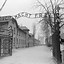 Image result for Dachau concentration