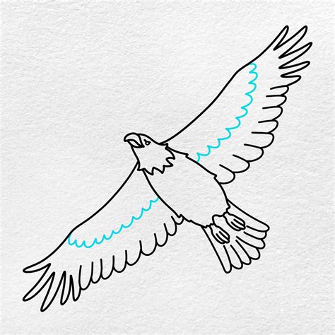 How To Draw A Eagle