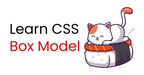 Box Model Free Code Camp 的图像结果
