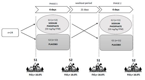 Effects of Short-Term Phosphate Loading on Aerobic Capacity under Acute ...